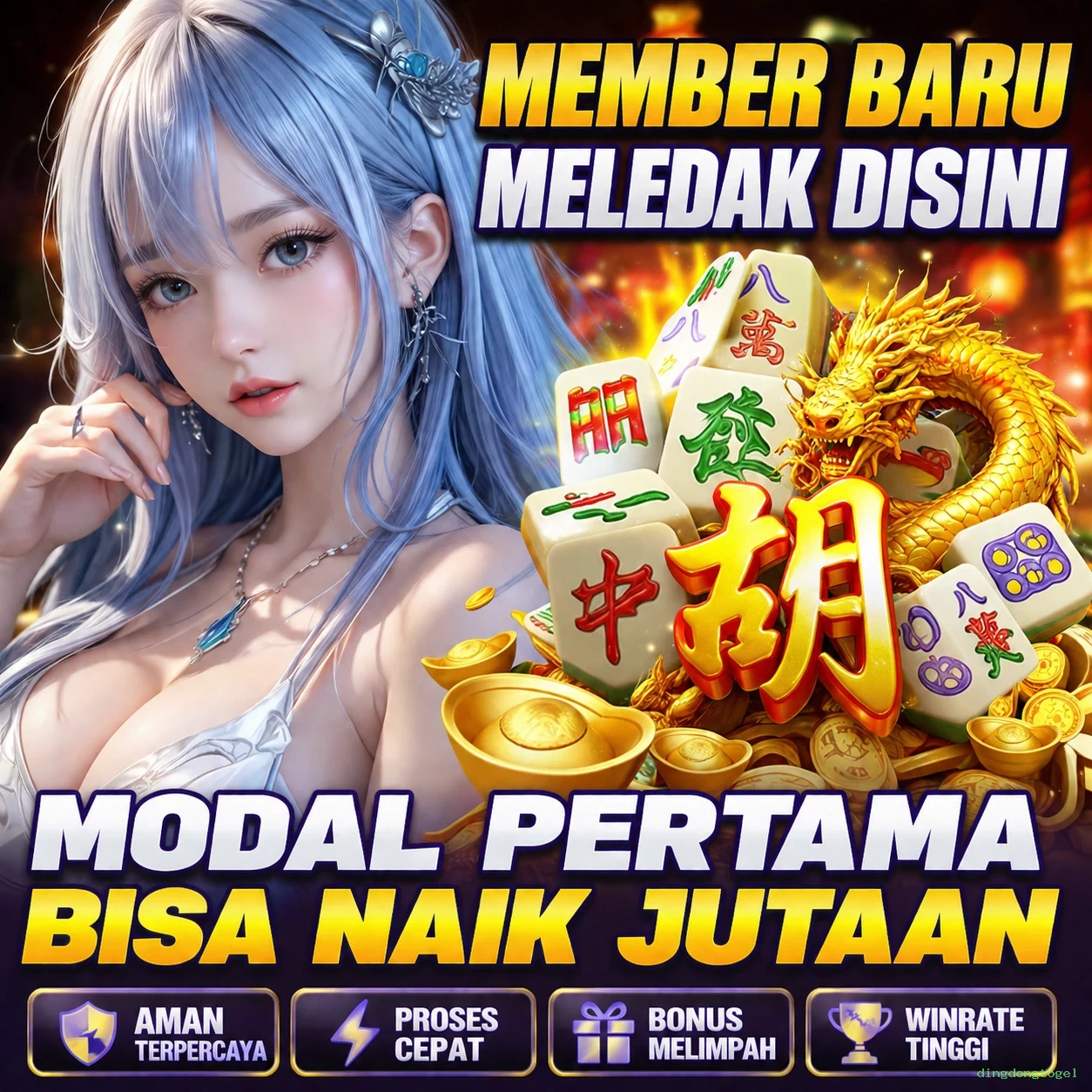 dingdongtogel